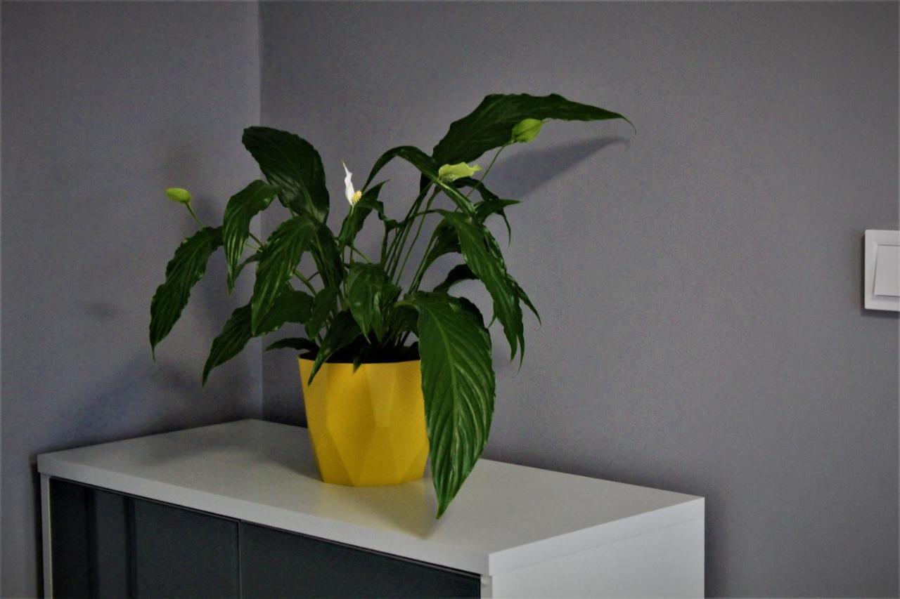 Przy Arsenale Apartment